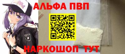 jwh Кингисепп