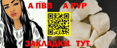 jwh Кингисепп