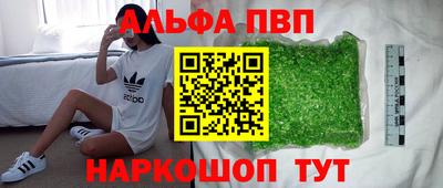 jwh Кингисепп