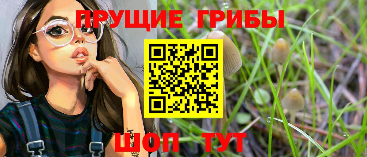Краснокаменск  Псилоцибиновые грибы MAGIC MUSHROOMS  Галлюциногенные грибы ЛСД  Вход с VPN 
